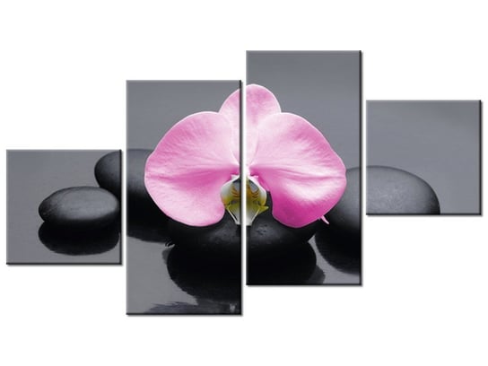 Obraz Różowy storczyk, 4 elementy, 160x90 cm Oobrazy