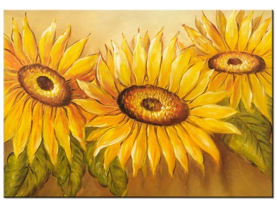 Obraz Rumiane słoneczniki, 100x70 cm Oobrazy