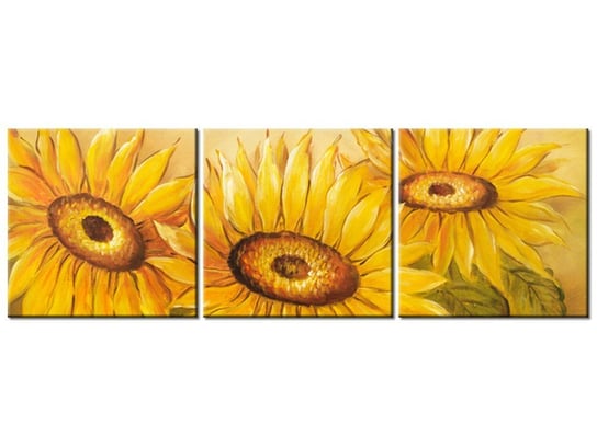 Obraz, Rumiane słoneczniki, 3 elementy, 90x30 cm Oobrazy