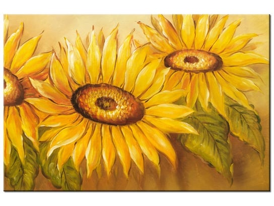 Obraz Rumiane słoneczniki, 60x40 cm Oobrazy