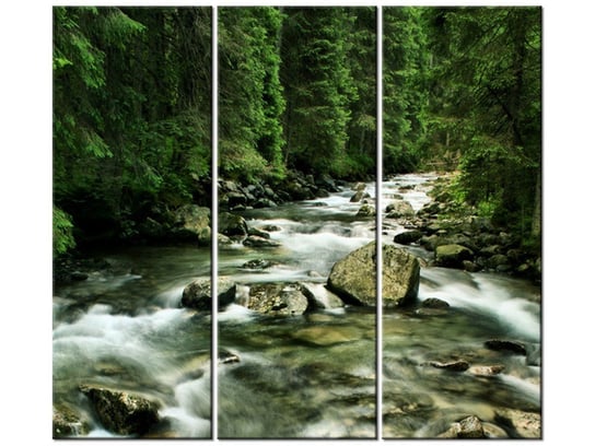 Obraz Rzeka w Tatrach, 3 elementy, 90x80 cm Oobrazy