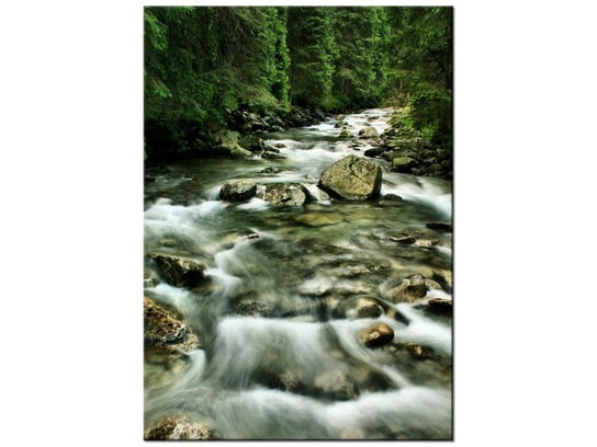 Obraz Rzeka w Tatrach, 50x70 cm Oobrazy