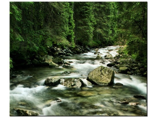Obraz Rzeka w Tatrach, 60x50 cm Oobrazy