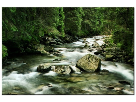 Obraz Rzeka w Tatrach, 90x60 cm Oobrazy