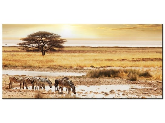 Obraz, Safari, 115x55 cm Oobrazy