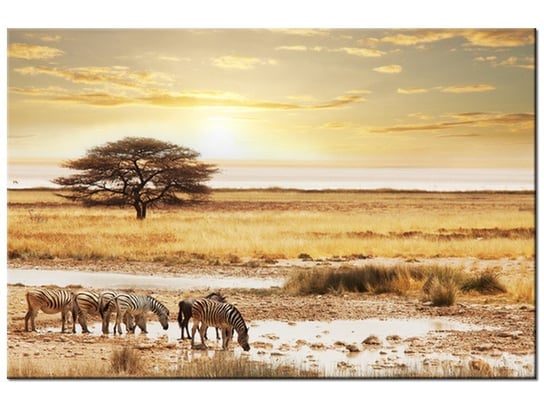 Obraz, Safari, 90x60 cm Oobrazy