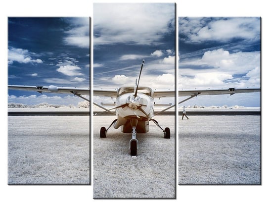 Obraz Samolot śmigłowy, 3 elementy, 90x70 cm Oobrazy
