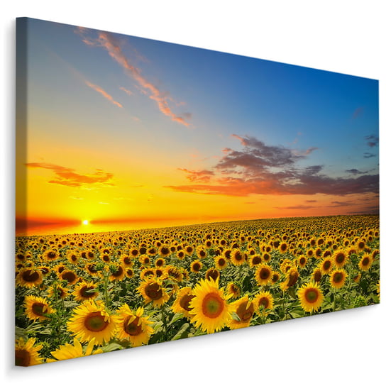 Obraz Ścienny Do Jadalni ZACHÓD SŁOŃCA Słoneczniki Kwiaty Pejzaż 3D 30cm x 20cm Muralo