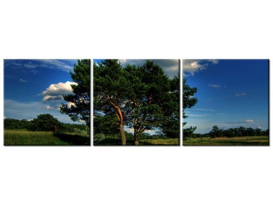 Obraz Silne drzewa, 3 elementy, 120x40 cm Oobrazy