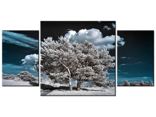 Obraz Silne drzewa, 3 elementy, 80x40 cm Oobrazy