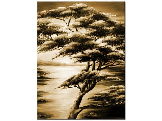 Obraz Silne drzewa, 30x40 cm Oobrazy