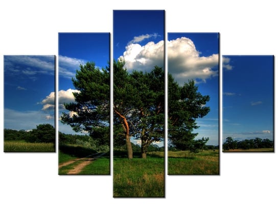 Obraz Silne drzewa, 5 elementów, 150x105 cm Oobrazy