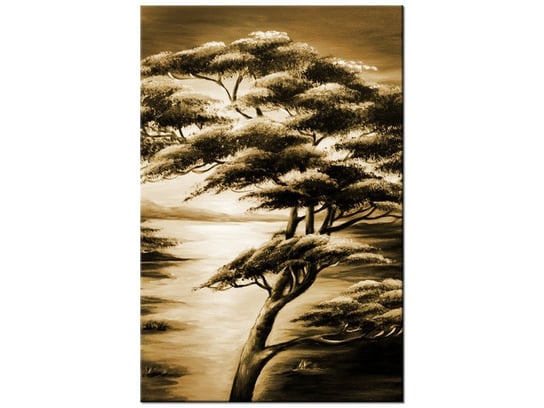 Obraz, Silne drzewa, 60x90 cm Oobrazy