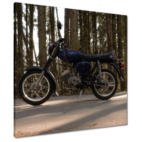 Obraz Simson, 60x60cm - ZeSmakiem | Sklep EMPIK.COM