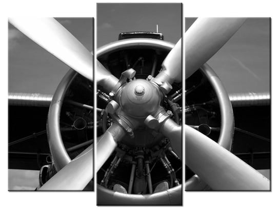 Obraz Sinik samolotowy, 3 elementy, 90x70 cm Oobrazy