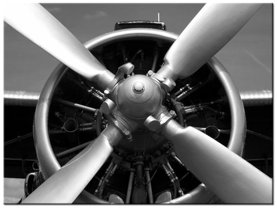 Obraz Sinik samolotowy, 40x30 cm Oobrazy