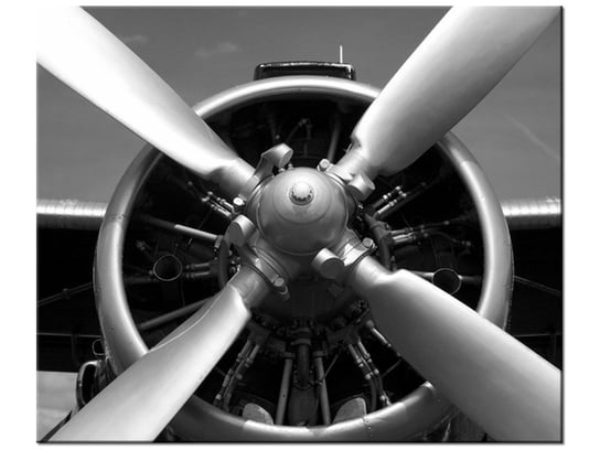 Obraz Sinik samolotowy, 60x50 cm Oobrazy