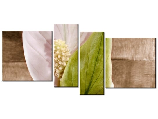 Obraz Skrzydłokwiat, 4 elementy, 120x55 cm Oobrazy