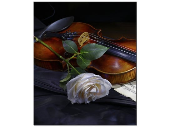 Obraz Skrzypce z różą, 50x60 cm Oobrazy
