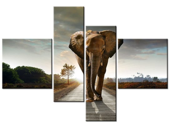 Obraz Słoń, 4 elementy, 130x90 cm Oobrazy