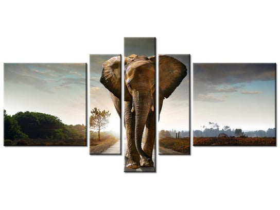 Obraz Słoń, 5 elementów, 160x80 cm Oobrazy