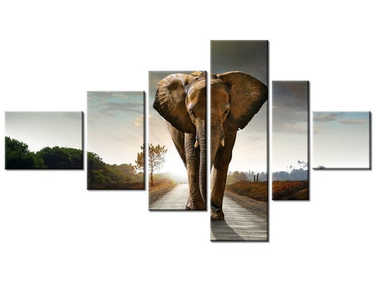 Obraz Słoń, 6 elementów, 180x100 cm Oobrazy