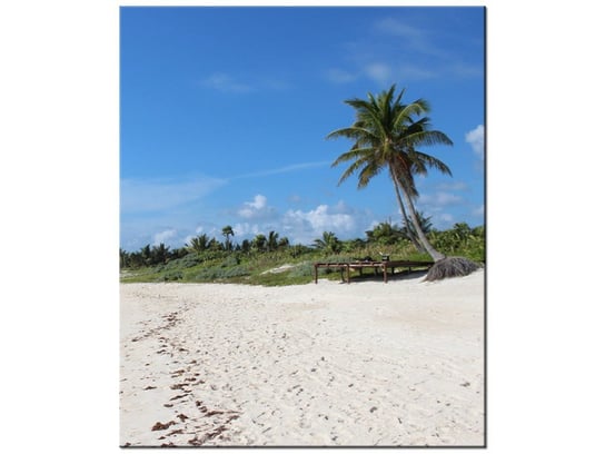 Obraz Słoneczna plaża - Members Hotel Network, 50x60 cm Oobrazy