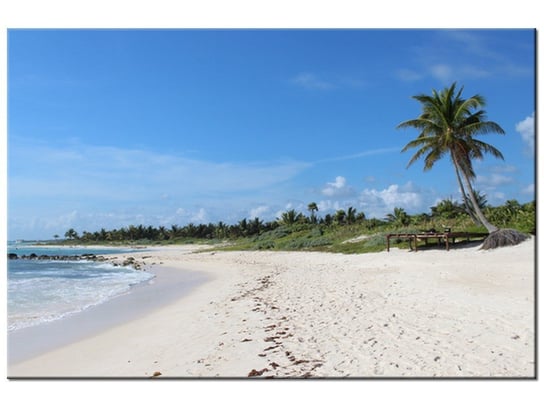 Obraz Słoneczna plaża - Members Hotel Network, 60x40 cm Oobrazy