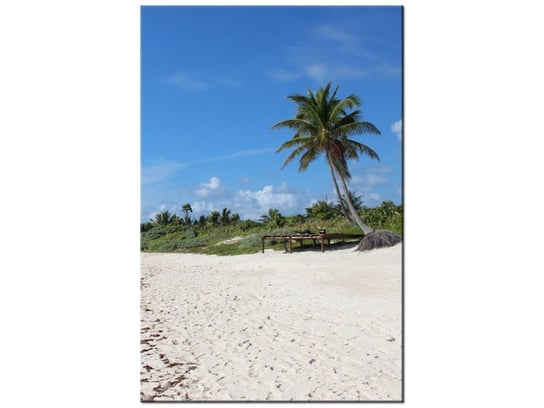 Obraz Słoneczna plaża - Members Hotel Network, 60x90 cm Oobrazy