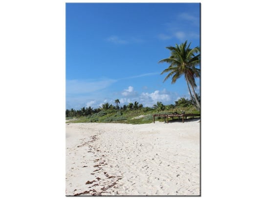 Obraz Słoneczna plaża - Members Hotel Network, 70x100 cm Oobrazy