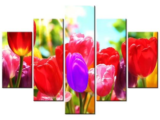 Obraz Słoneczne tulipany, 5 elementów, 150x105 cm Oobrazy