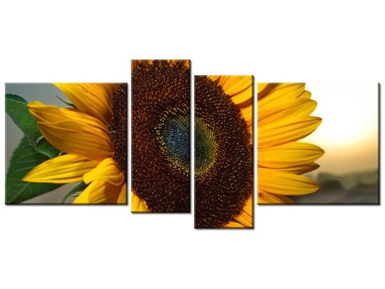 Obraz Słonecznik, 4 elementy, 120x55 cm Oobrazy