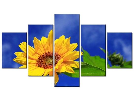 Obraz Słonecznik, 5 elementów, 125x70 cm Oobrazy