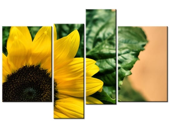 Obraz Słonecznik ozdobny, 4 elementy, 130x85 cm Oobrazy