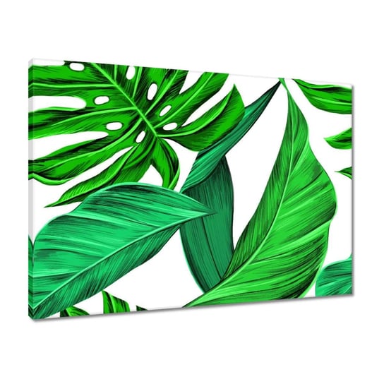 Obraz Soczysta Monstera Tropiki, 70x50cm ZeSmakiem