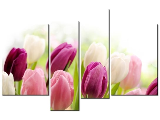 Obraz, Soczyste tulipany, 4 elementy, 130x85 cm Oobrazy