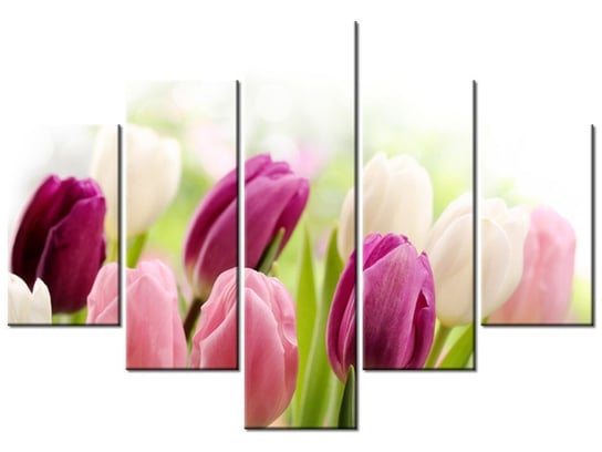 Obraz, Soczyste tulipany, 5 elementów, 100x70 cm Oobrazy
