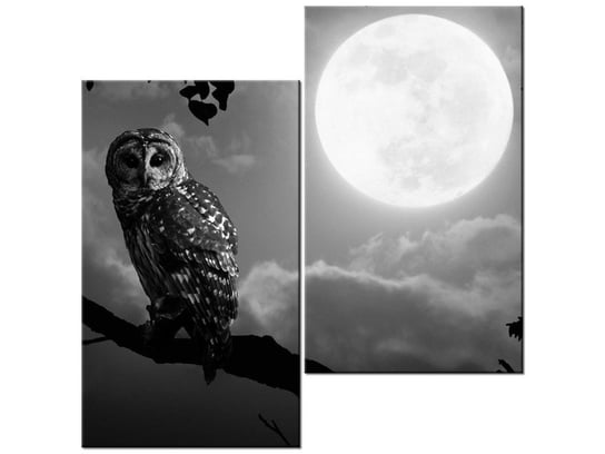 Obraz, Sowa przy pełni księżyca, 2 elementy, 60x60 cm Oobrazy