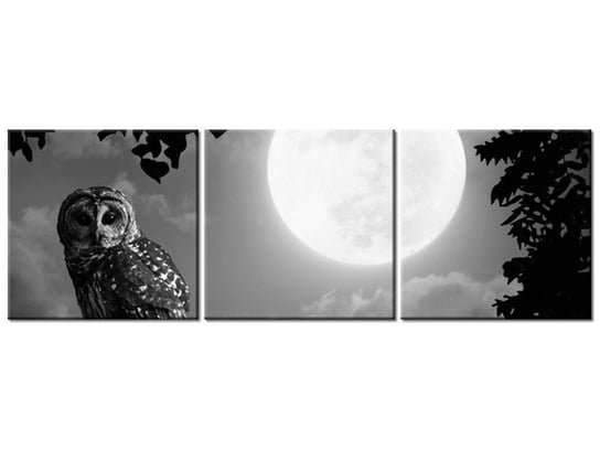 Obraz Sowa przy pełni księżyca, 3 elementy, 90x30 cm Oobrazy