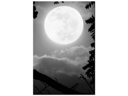 Obraz Sowa przy pełni księżyca, 80x120 cm Oobrazy