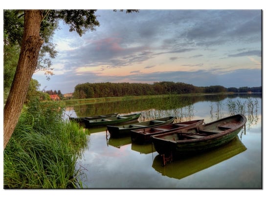 Obraz, Spokojne Jezioro Wolsztyńskie, 100x70 cm Oobrazy