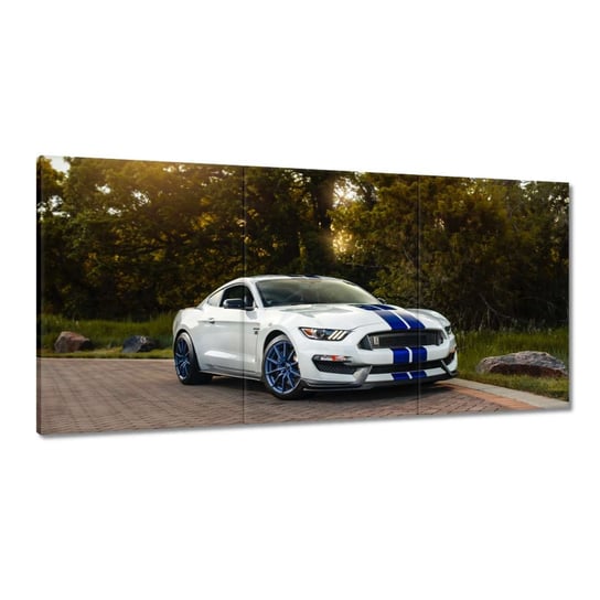 Obraz Sportowy Ford Mustang, 120x60cm ZeSmakiem