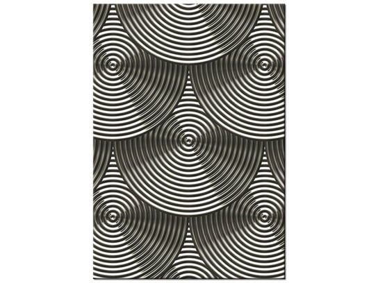 Obraz Srebrne obręcze, 70x100 cm Oobrazy