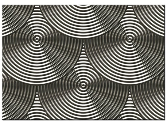 Obraz Srebrne obręcze, 70x50 cm Oobrazy