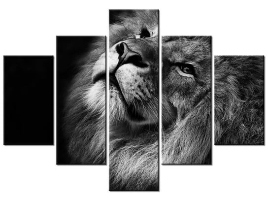 Obraz Srebrny lew, 5 elementów, 100x70 cm Oobrazy