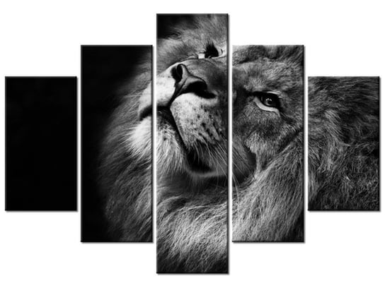 Obraz Srebrny lew, 5 elementów, 150x105 cm Oobrazy