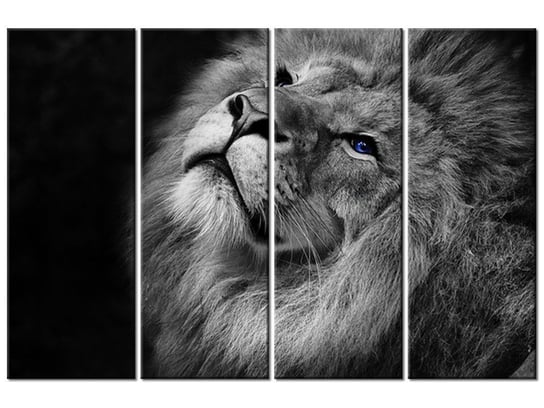 Obraz Srebrny lew z niebieskimi oczyma, 4 elementy, 120x80 cm Oobrazy