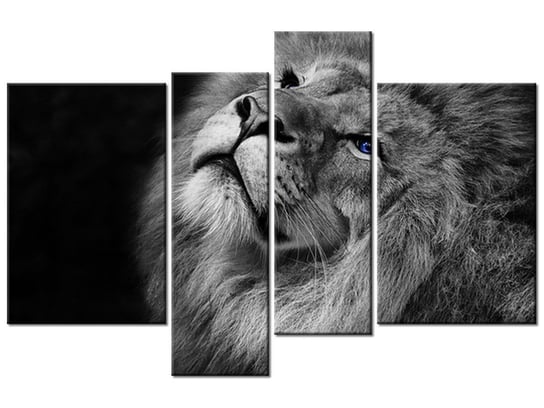 Obraz Srebrny lew z niebieskimi oczyma, 4 elementy, 130x85 cm Oobrazy