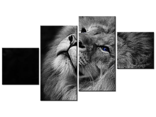 Obraz Srebrny lew z niebieskimi oczyma, 4 elementy, 160x90 cm Oobrazy