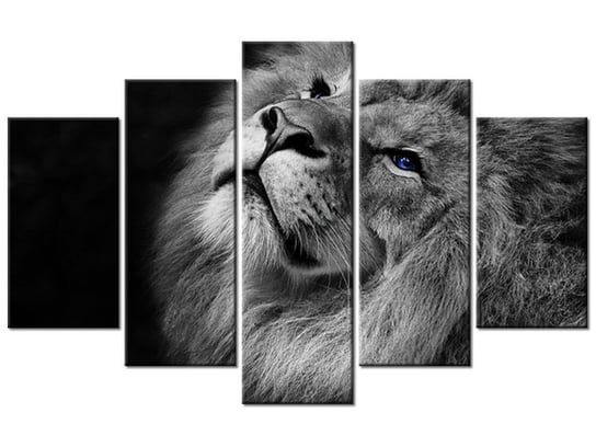 Obraz Srebrny lew z niebieskimi oczyma, 5 elementów, 100x63 cm Oobrazy